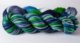 Superwash worsted yarn: Legion of Boom, 3.5 oz